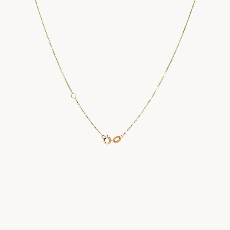 tree of life tiny multi coin necklace - 14k yellow gold