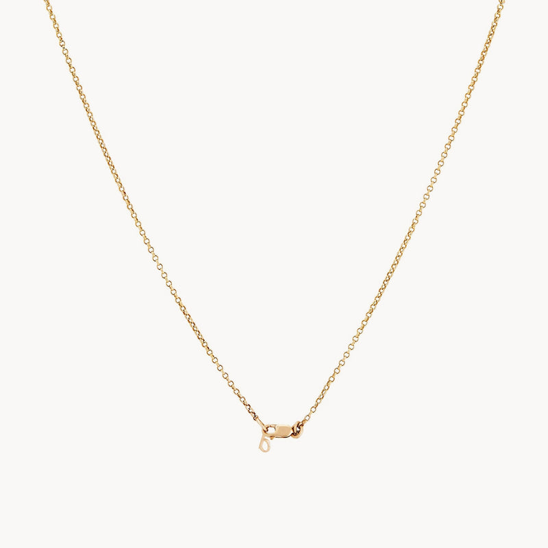 dream state polaris enamel flip necklace- 14k yellow gold