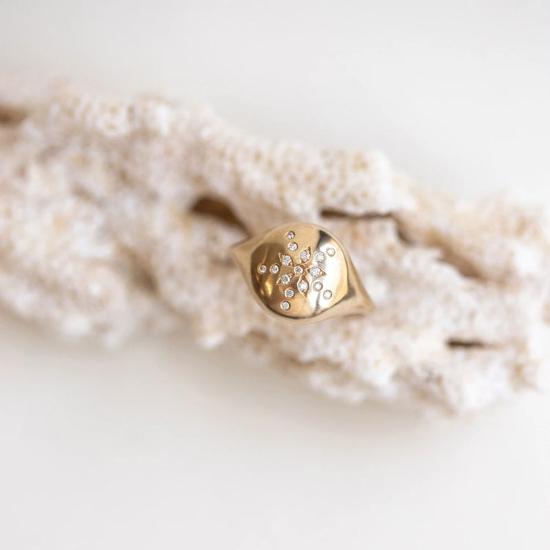 sand dollar diamond signet ring - 14k yellow gold, white diamond